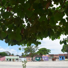 Imagem padrão