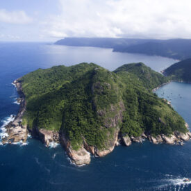 Imagem padrão