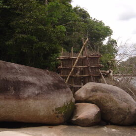 Imagem padrão