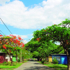 Imagem padrão