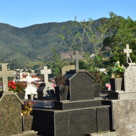 Imagem padrão