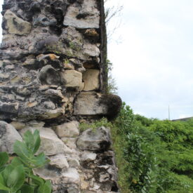Imagem padrão
