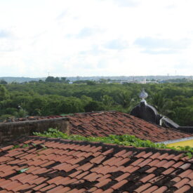 Imagem padrão
