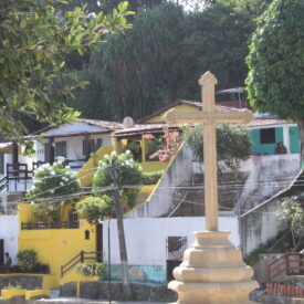 Imagem padrão