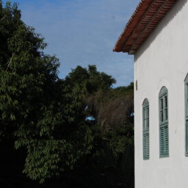 Imagem padrão