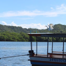 Imagem padrão