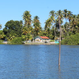 Imagem padrão