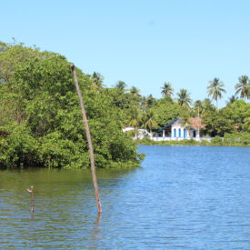 Imagem padrão