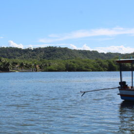 Imagem padrão