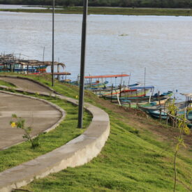 Imagem padrão