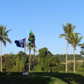 Imagem padrão