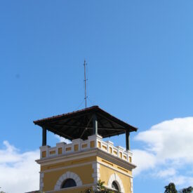 Imagem padrão