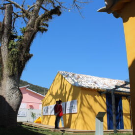 Imagem padrão