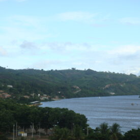 Imagem padrão