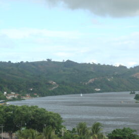Imagem padrão