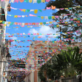 Imagem padrão