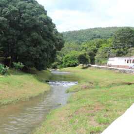 Imagem padrão