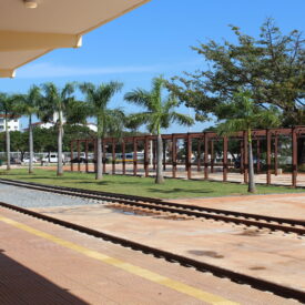 Imagem padrão