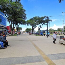 Imagem padrão
