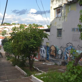 Imagem padrão