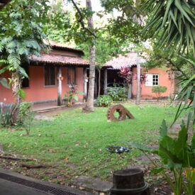 Imagem padrão